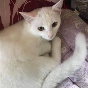 Meet your Posher, Claire